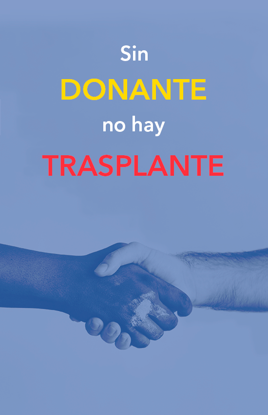 flyer sin donante no hay transplante